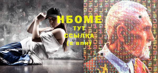 индика Алексин
