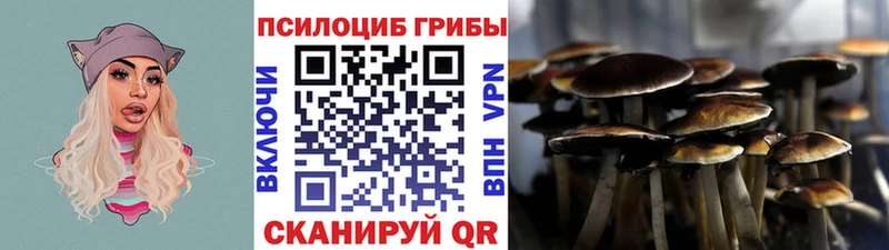 MEGA ONION  Донской  Псилоцибиновые грибы ЛСД 